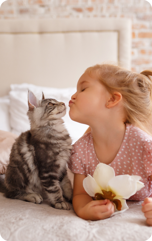 
                                Happy Kitten with Furchild Kitten Food