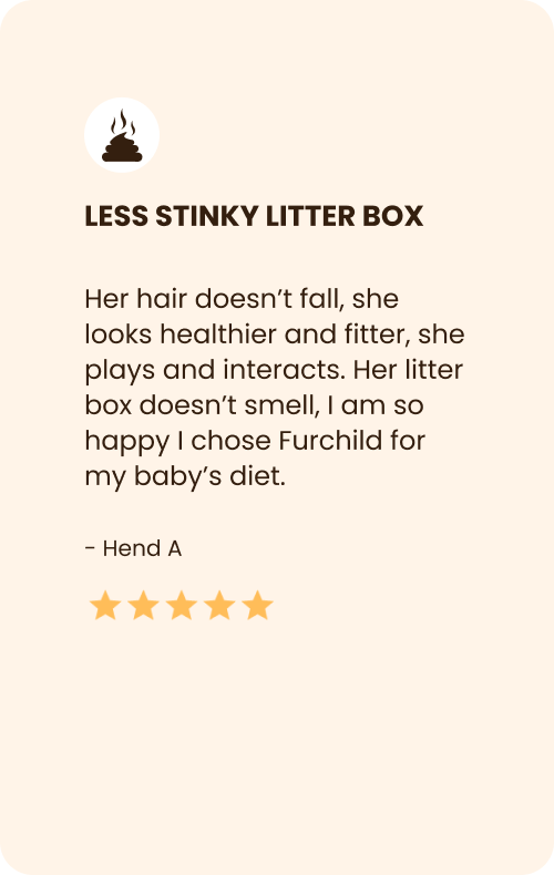 
                                Cat owner praises Furchild Cat Food