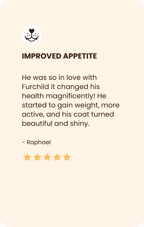 
                                Raphael's Review on Furchild Cat Food