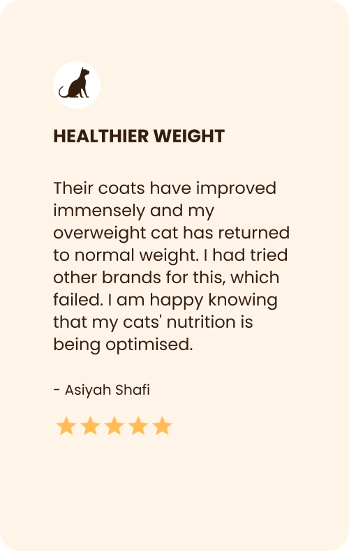 
                                Cat Food Review for Healthy Weight Gain