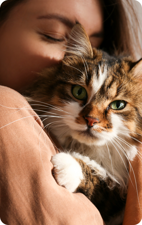 
                                Cat cuddling after eating Furchild Cat Food