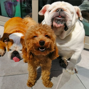 Eric Martinez Harvey, Kenji and Daphne