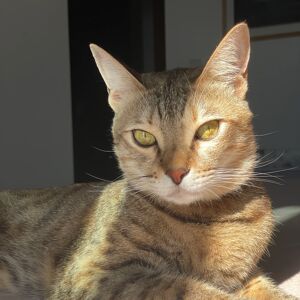 Kara Booth Juno
