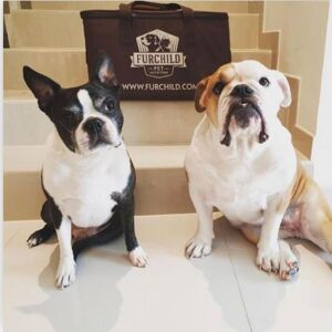 Leeanne Fennell Frankie & Finnegan