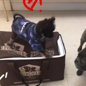 Melissa  Brummer Buster & Taz