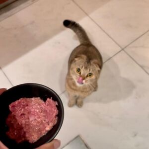 Nada Dweik Minky