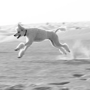Rachael Kinsley Sampson