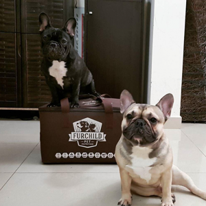 Sandy  Lewis Monkey & Muffin